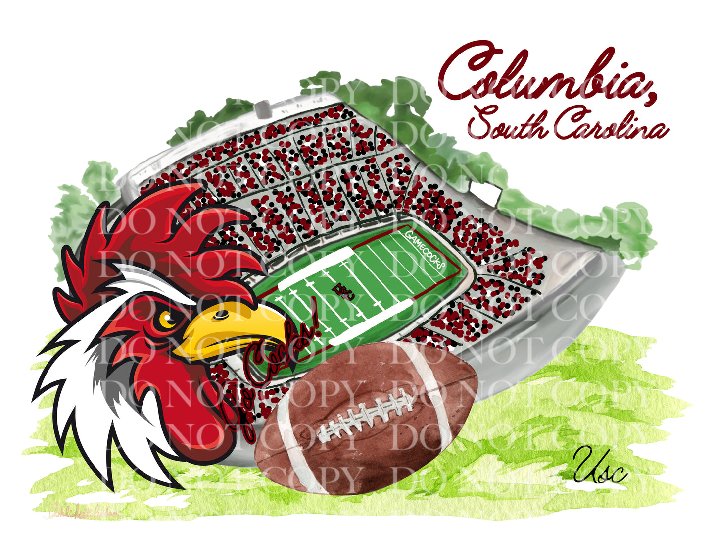 Carolina Gamecocks Football Stadium