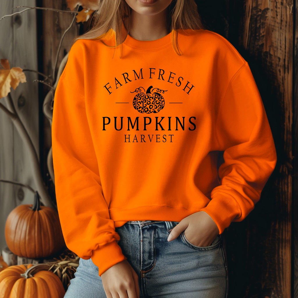 Farm Fresh Pumpkins Harvest